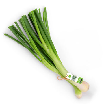 Picture of Leto Spring Onion Bunch 70g