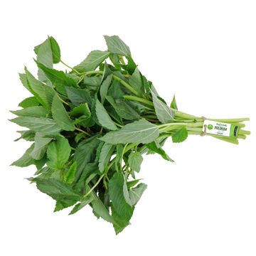 Picture of Leto Molokhia (Paat Saag) Bunch 200g