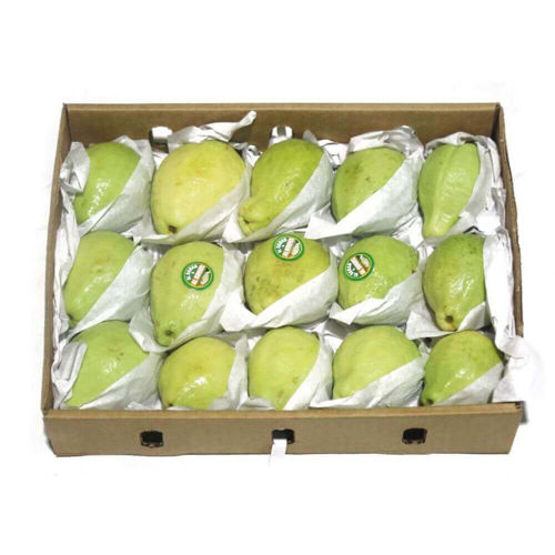 Picture of Guava Egypt Box  (1.5kg)