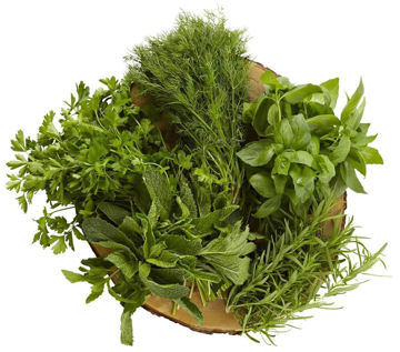 Picture of Fresh Mixed Herbs
