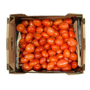 Picture of Tomato Box India
