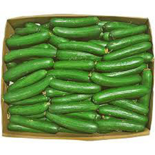 Picture of Cucumber Box 10kg