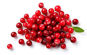 Picture of Cranberries 340g Picture of Cranberries 340g