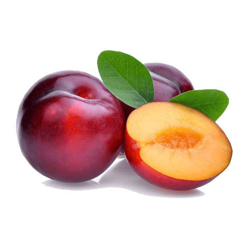Picture of Plums Red Rose