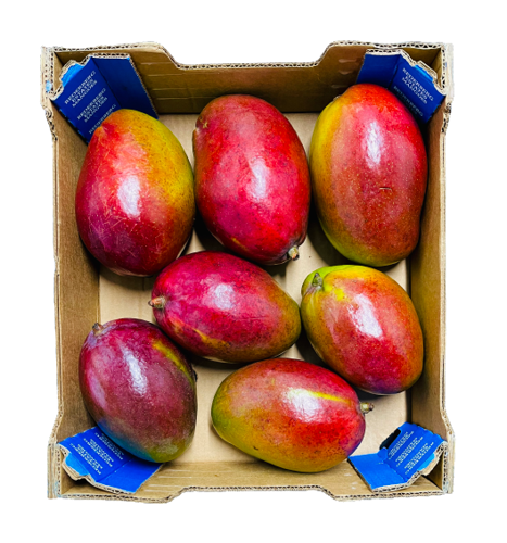 Picture of Mango Tommy Box (Ripen at Home) 4kg
