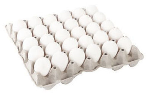 Picture of Turkey White Eggs Medium 30 pcs