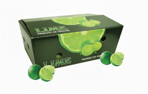 Buy Lime Box Online