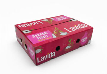 dragon fruit box
