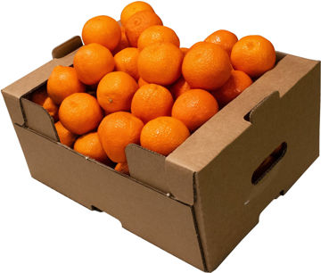 Picture of Mandarin Seedless Egypt Box 8kg