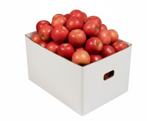 Picture of Apple Red Box China 15kg