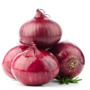 Picture of Onion Red Turkey