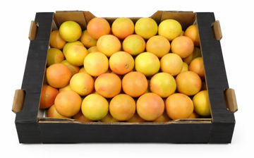 Buy Grapefruit Online