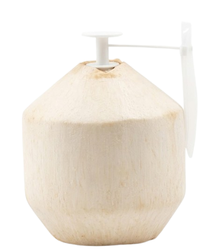 Picture of Young Coconut - Easy To Open