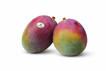 Picture of Mango Kent