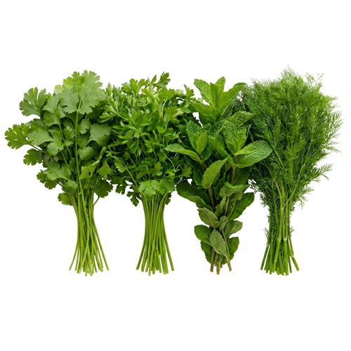 mix herbs shop online
