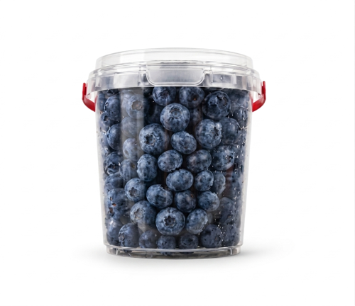 shop online blueberry