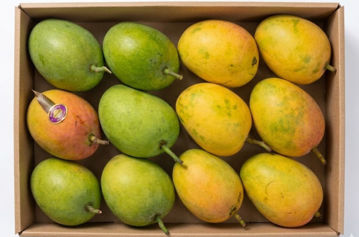 	Buy Mango Alphonso Online