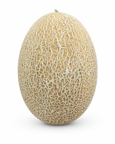 Picture of Sweet Melon Jordan