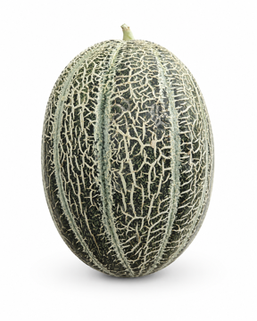 Picture of Rock Melon