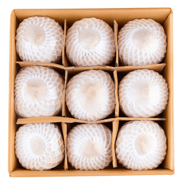 Thailand coconut online