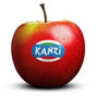 Picture of Apple Kanzi