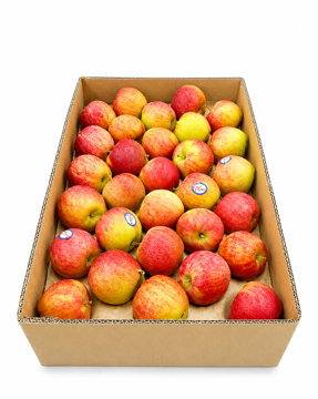 buy Tukey apple online