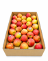buy Tukey apple online