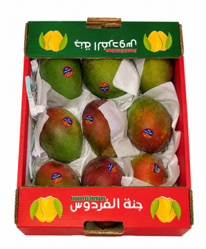 Picture of Mango Tommy Box Egypt