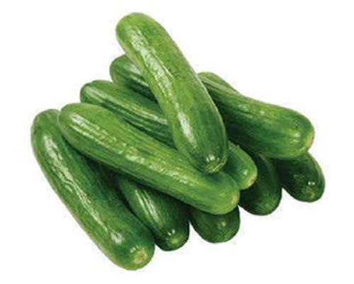 Picture of Cucumber Long 500g