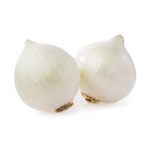 Picture of Onion White 500g