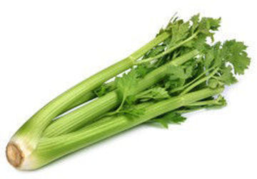 Picture of Celery 500g