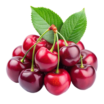 Picture of Cherry Premium 500g US