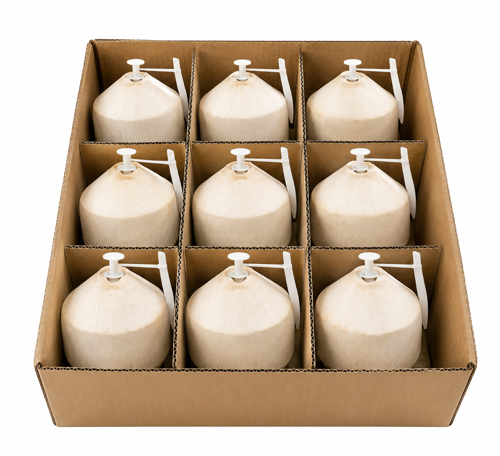 Picture of Young Coconut - Easy To Open Box
