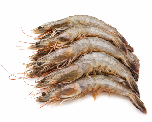 Picture of Shrimps Head-On Medium 1kg