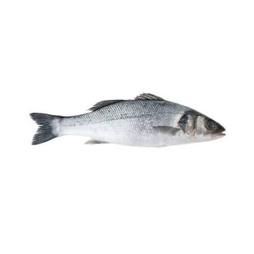Picture of Seabass Mediterranean Whole  Piece
