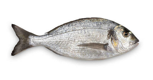 Picture of Seabream Mediterranean  Whole  Piece