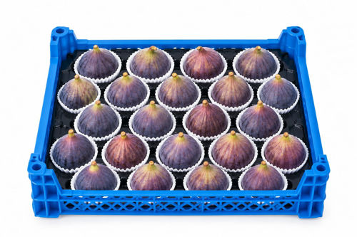 Picture of Figs Box Turkey