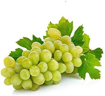 Picture of Grapes White Seedless Thompson